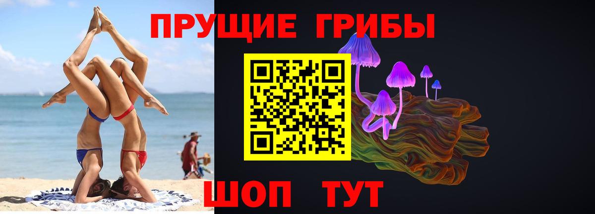 Галлюциногенные грибы Cubensis Елец